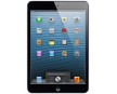 ipad-mini-wi-fi-cellular-thmb.jpg