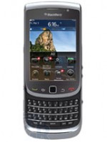 torch-9810.jpg