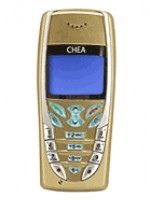 198.jpg