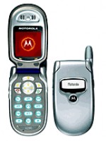 v290.jpg
