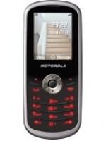 wx290.jpg