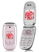 pg-3300.jpg