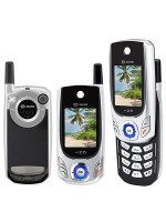 myz-5.jpg
