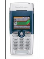 t310.jpg