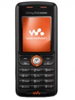 w200.jpg