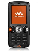 w810.jpg