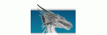 dragon.gif
