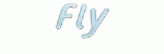 fly.gif